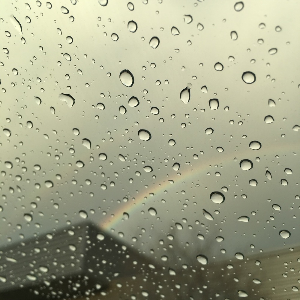 Meet your Posher, Savannah